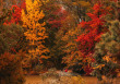 Your Guide to November Events Around Town