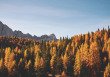 Your Guide to October Events Around Town