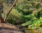 Picturesque Thornton Creek flows through the Thornton Creek Commons property. Picturesque Thornton Creek flows through the Thornton Creek Commons property.