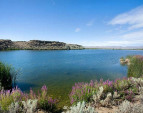 View from east end of Hilltop Lake, a 30 acre water body --- home to ducks, geese & bass galore! 5000 front feet of low bank/lake frontage. View from east end of Hilltop Lake, a 30 acre water body --- home to ducks, geese & bass galore! 5000 front feet of low bank/lake frontage.