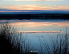 One of three lakes on the property. 60 acres of lakes offering fishing, duck hunting and home site lots with stunning views. One of three lakes on the property. 60 acres of lakes offering fishing, duck hunting and home site lots with stunning views.