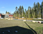 DSC_0046 (1)