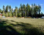 DSC_0019 (1)