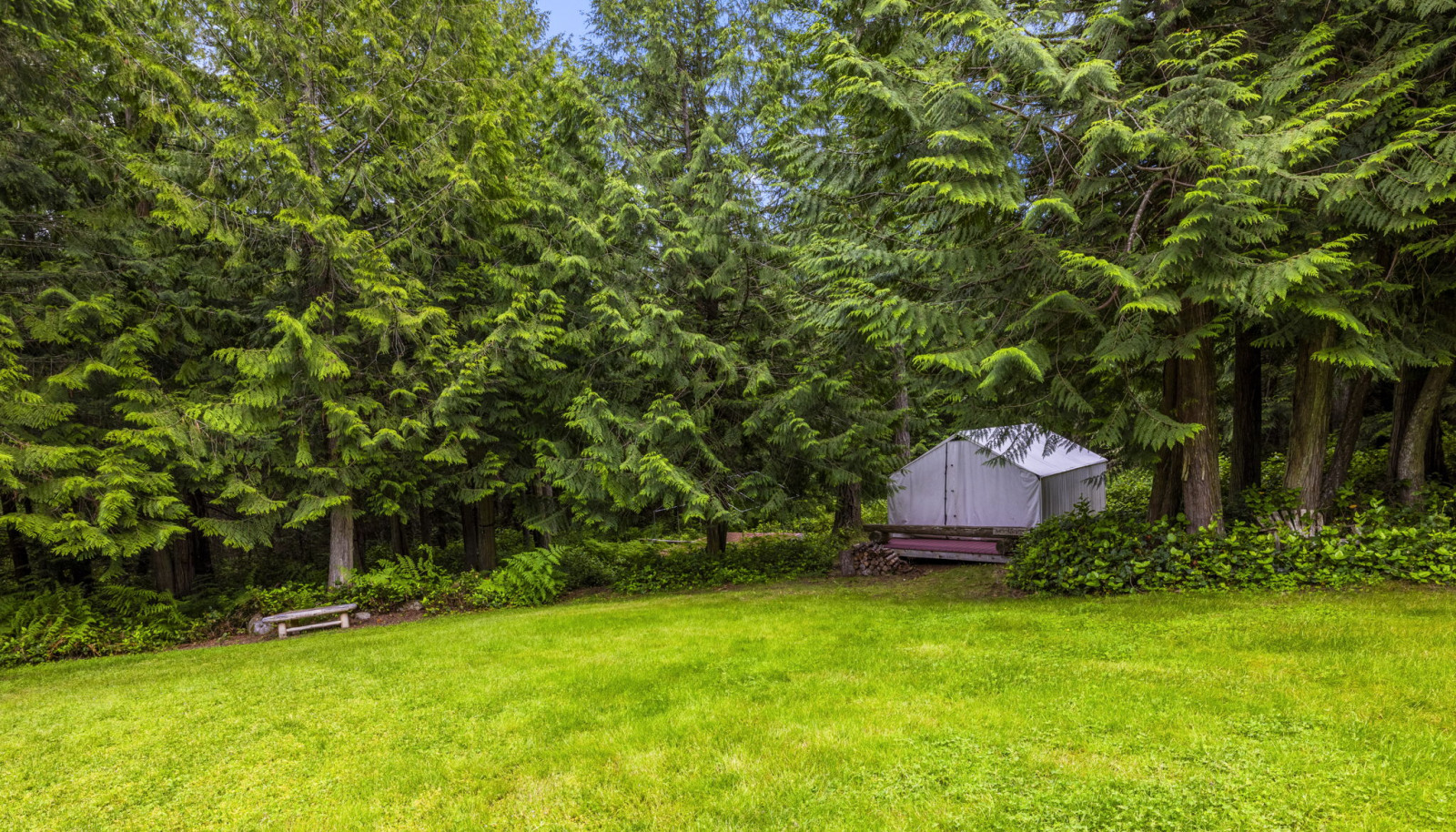 The original family campsite where the story of "The Barn" began.