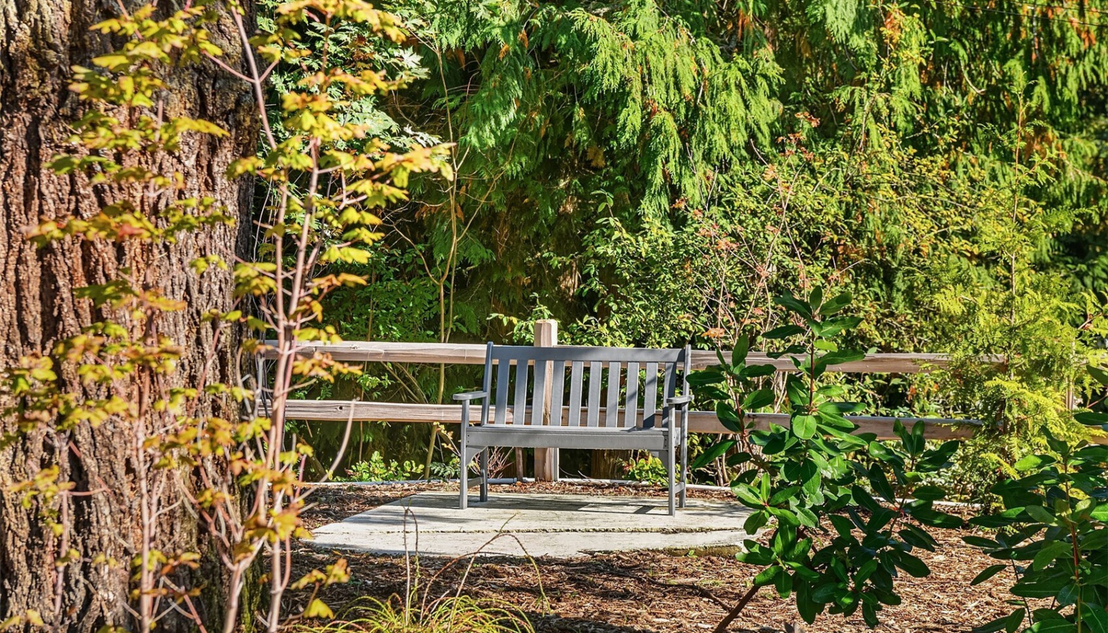 Garden benches are placed throughout the common area gardens. Come and sit a spell? Garden benches are placed throughout the common area gardens. Come and sit a spell?