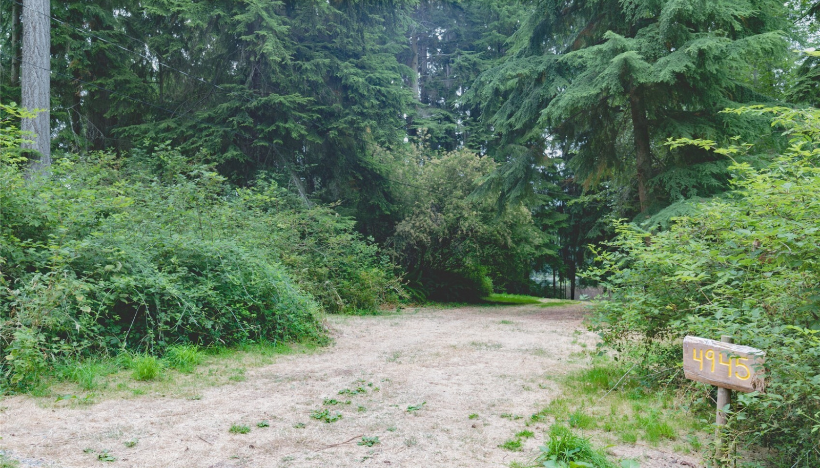 Private drive to your new home on the lake! Welcome to 4945 Lakeside Dr, Langley, WA 98260 Private drive to your new home on the lake! Welcome to 4945 Lakeside Dr, Langley, WA 98260