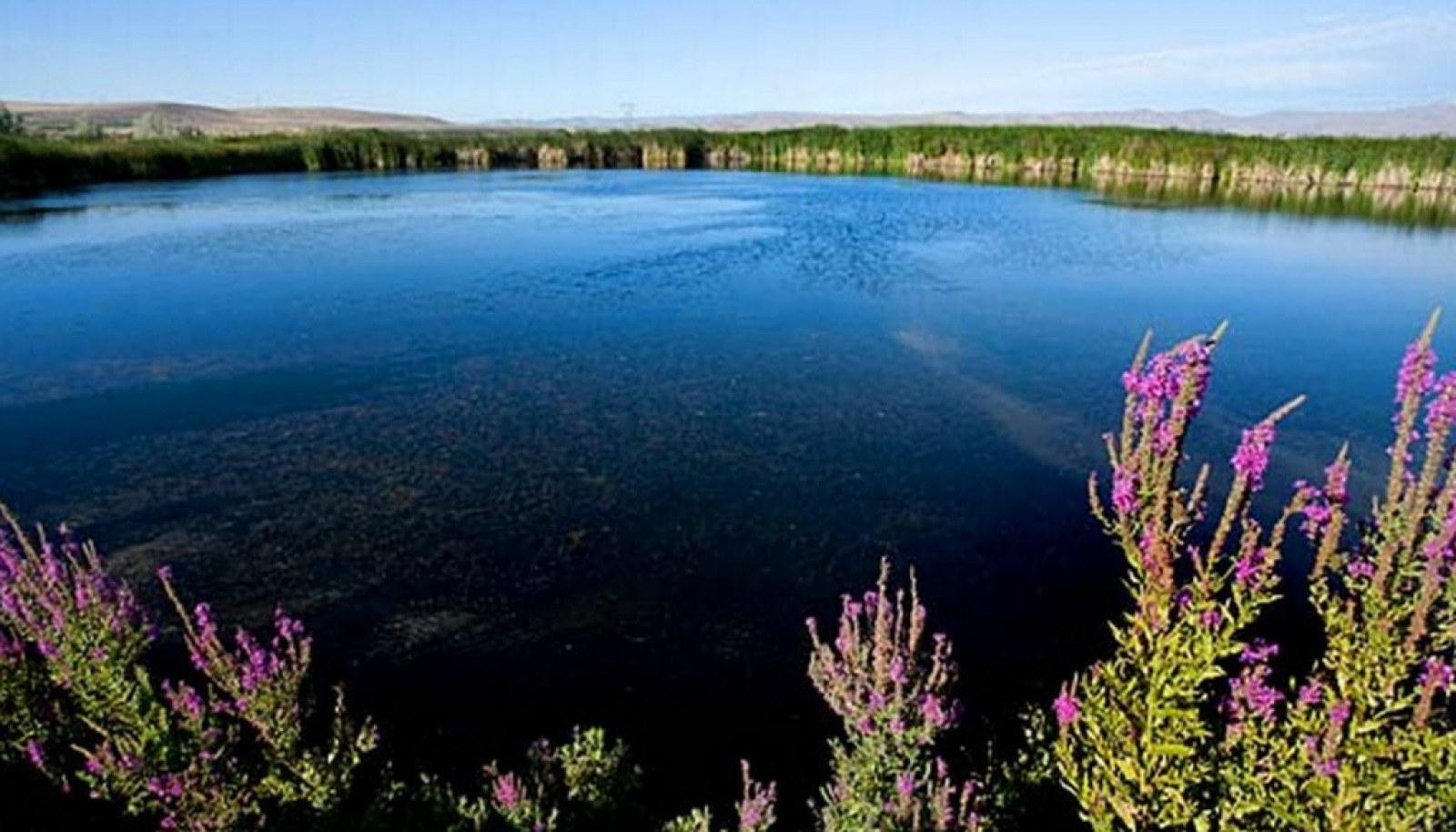 One of Three Lakes. 60 acres of water!! Irrigation is possible out of Hilltop lake via a M & I contract with the Bureau of Reclamation. Municipal water rights are available for purchase and transfer. One of Three Lakes. 60 acres of water!! Irrigation is possible out of Hilltop lake via a M & I contract with the Bureau of Reclamation. Municipal water rights are available for purchase and transfer.