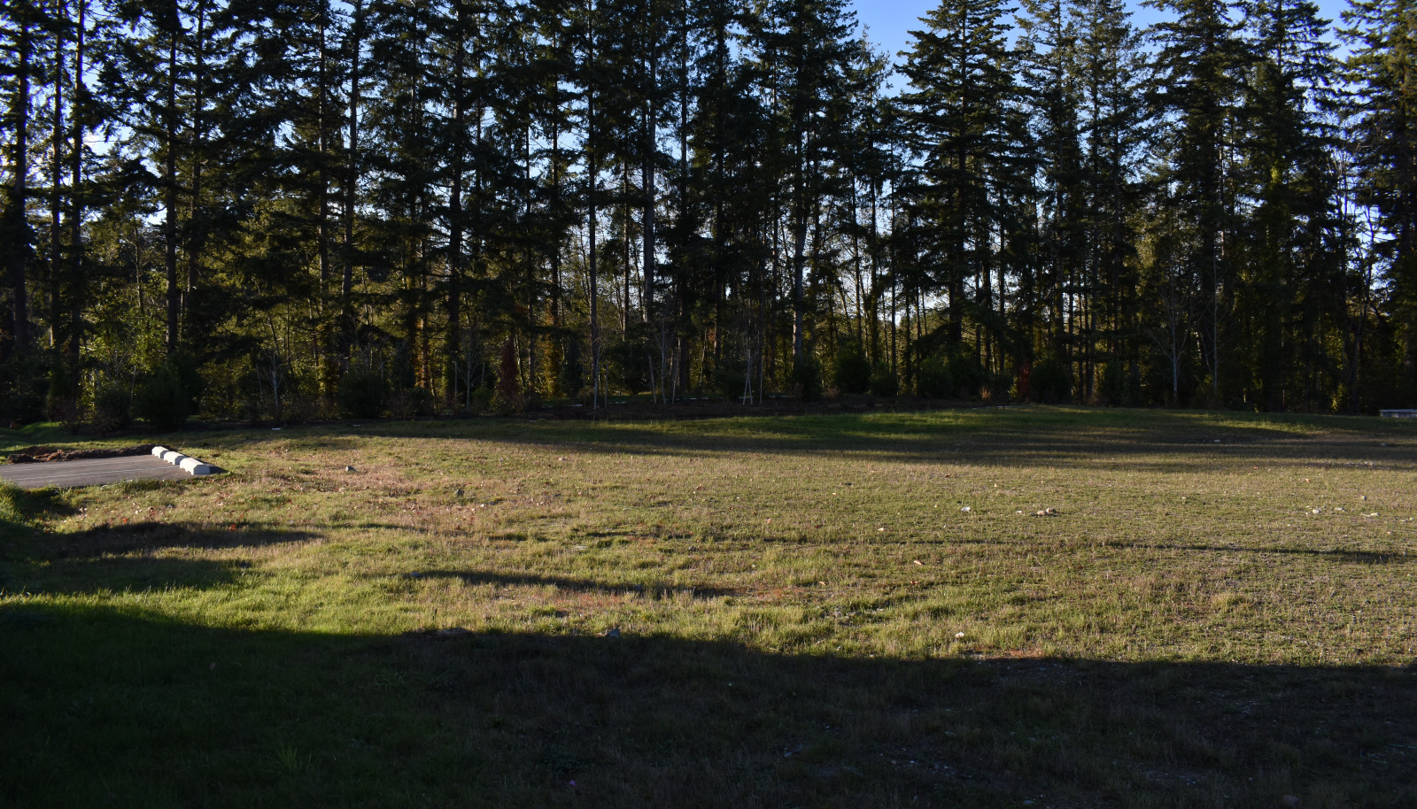DSC_0044 (1)