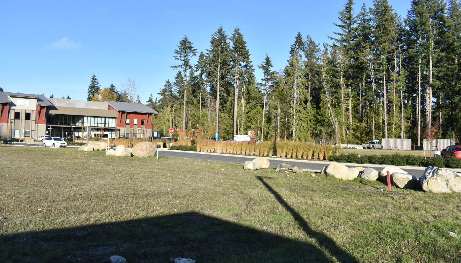 DSC_0046 (1)