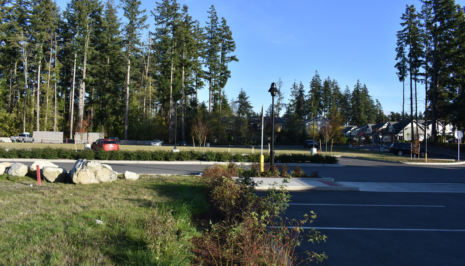 DSC_0047 (1)