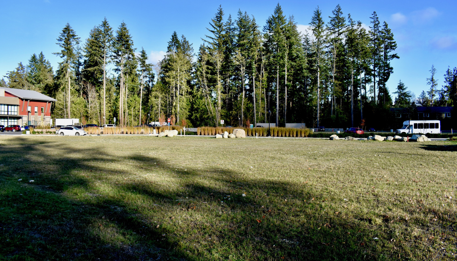 DSC_0019 (1)