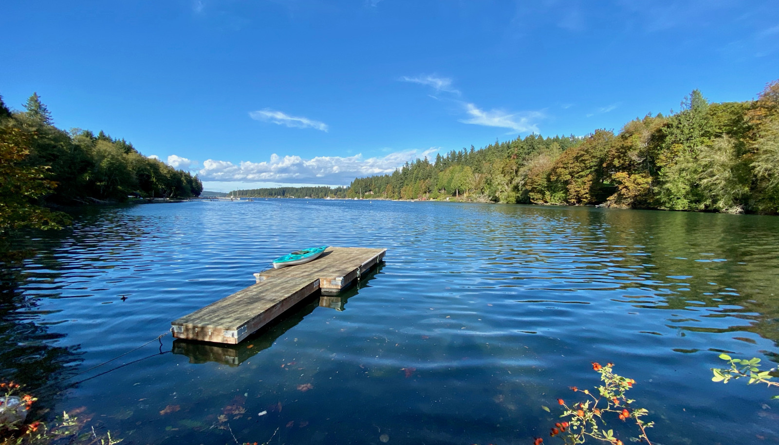 147 feet of private shoreline with a floating dock!