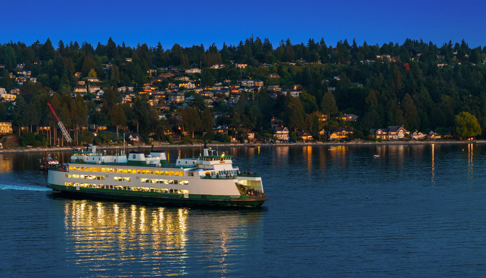 Fauntleroy Cove is quiet and protected providing a rare sandy beach. A walk on the beach brings perspective to our stress-induced, busy lives.