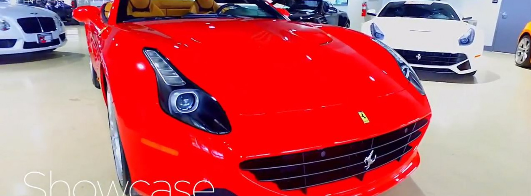 Marino Performance Motors in West Palm Beach, FL.