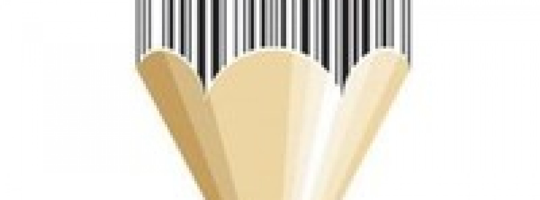 Ballen Bookkeeping in Florida – Handling All Your Bookkeeping Needs!