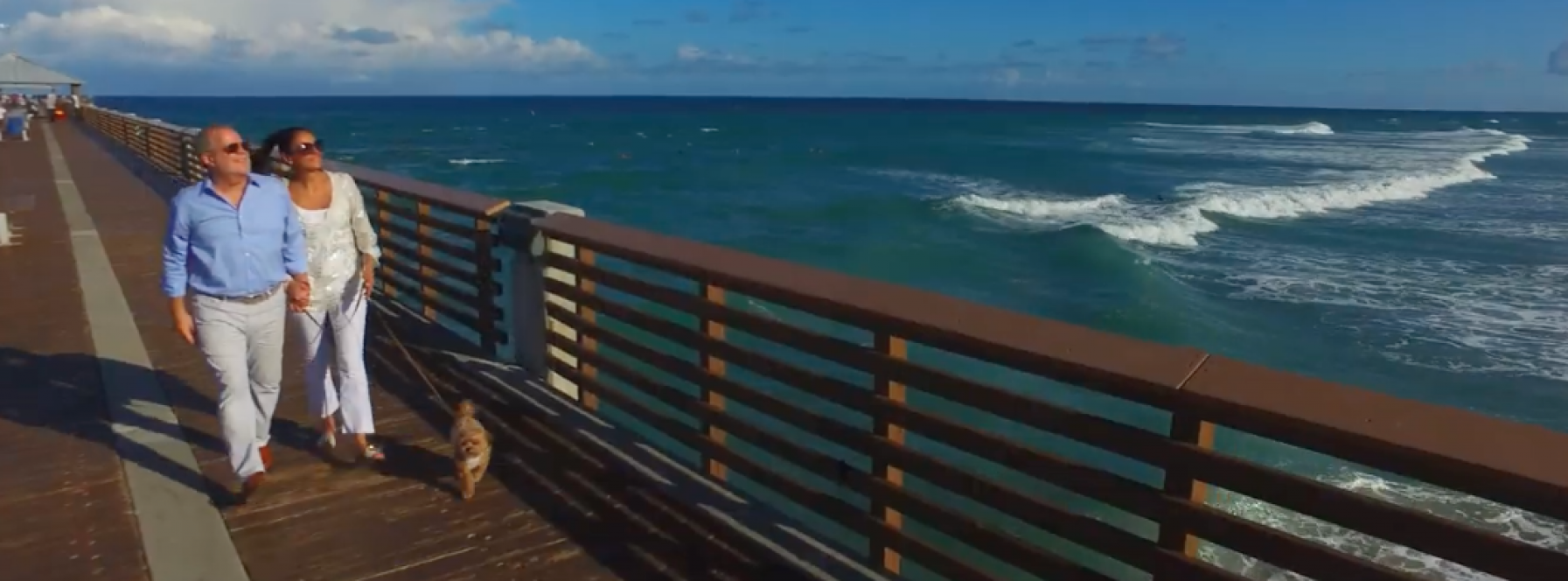 Getting to Know Echo Fine Properties’ Agent Andrew Levy!