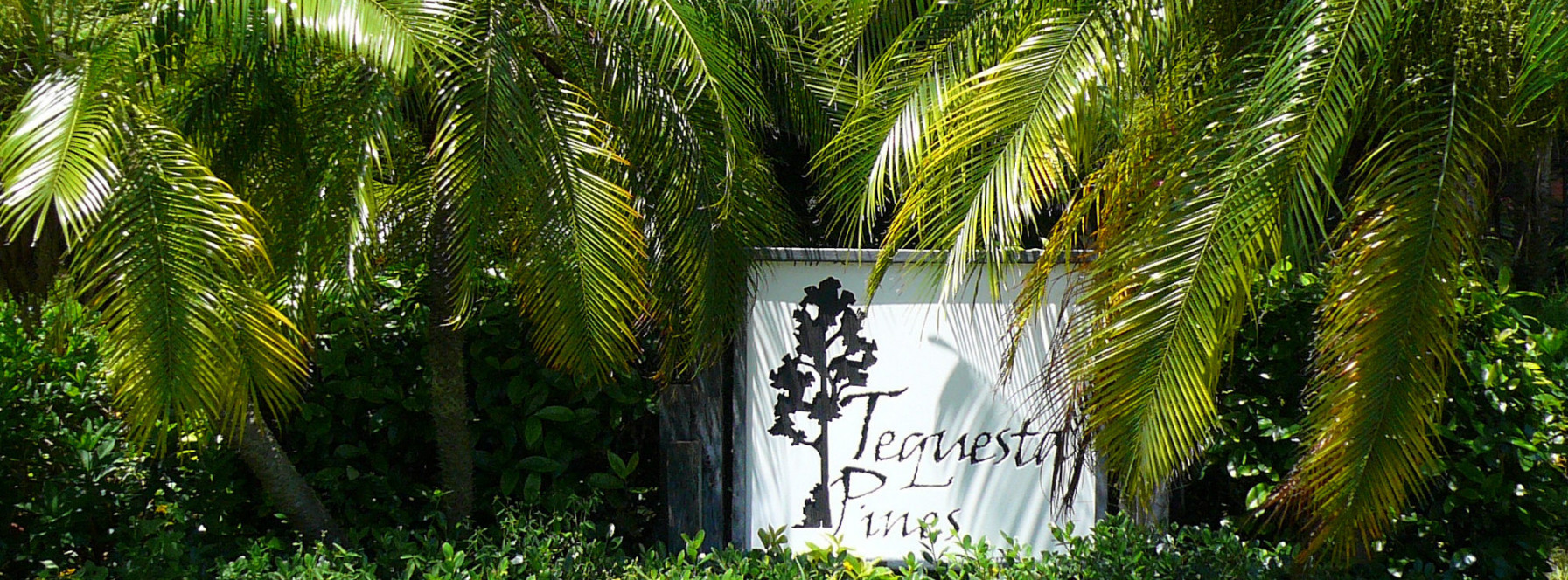 NEW LISTING IN TEQUESTA PINES!