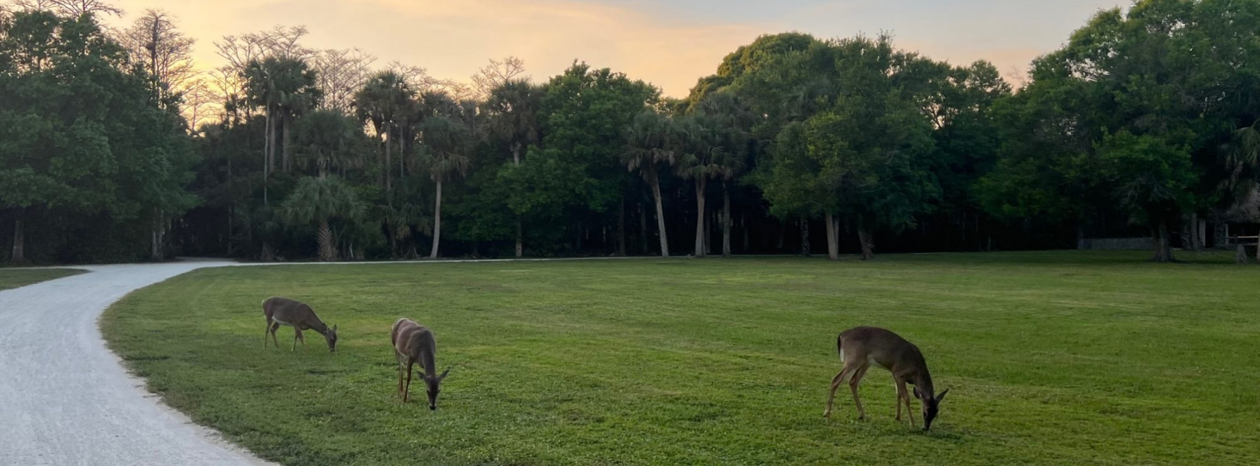 Top 10 Reasons to Live in Florida