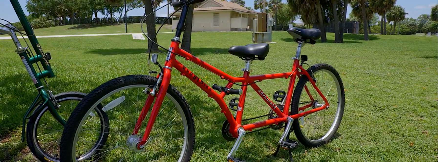 Local Waves: Bikes for Every Body