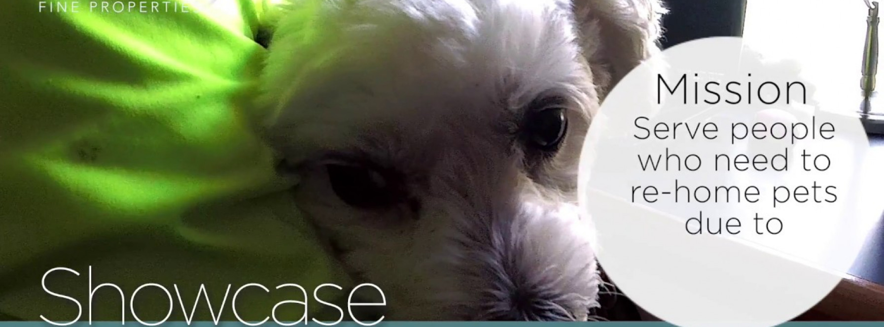 Pet Cottage A Local Non Profit Organization in Jupiter
