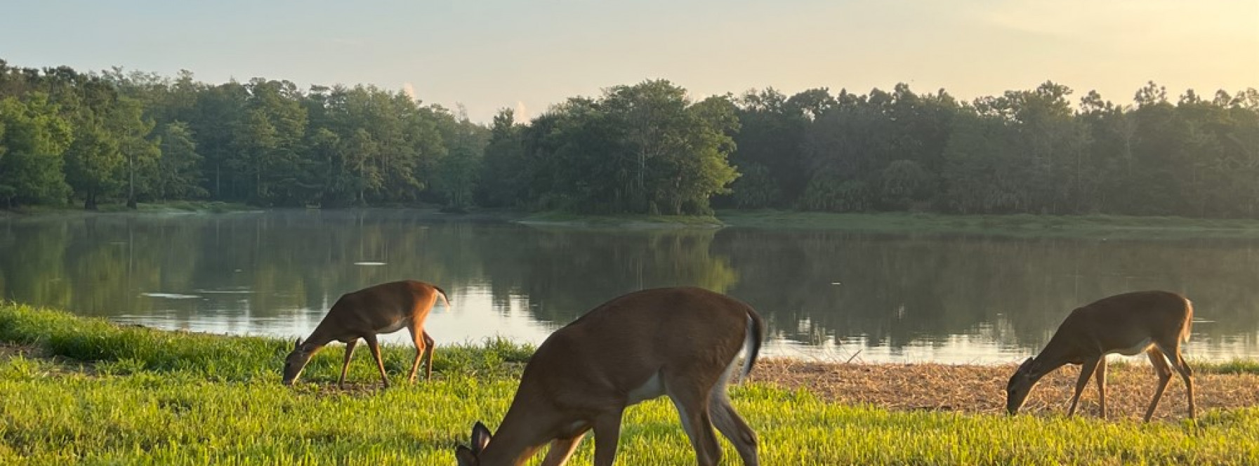 Explore Riverbend