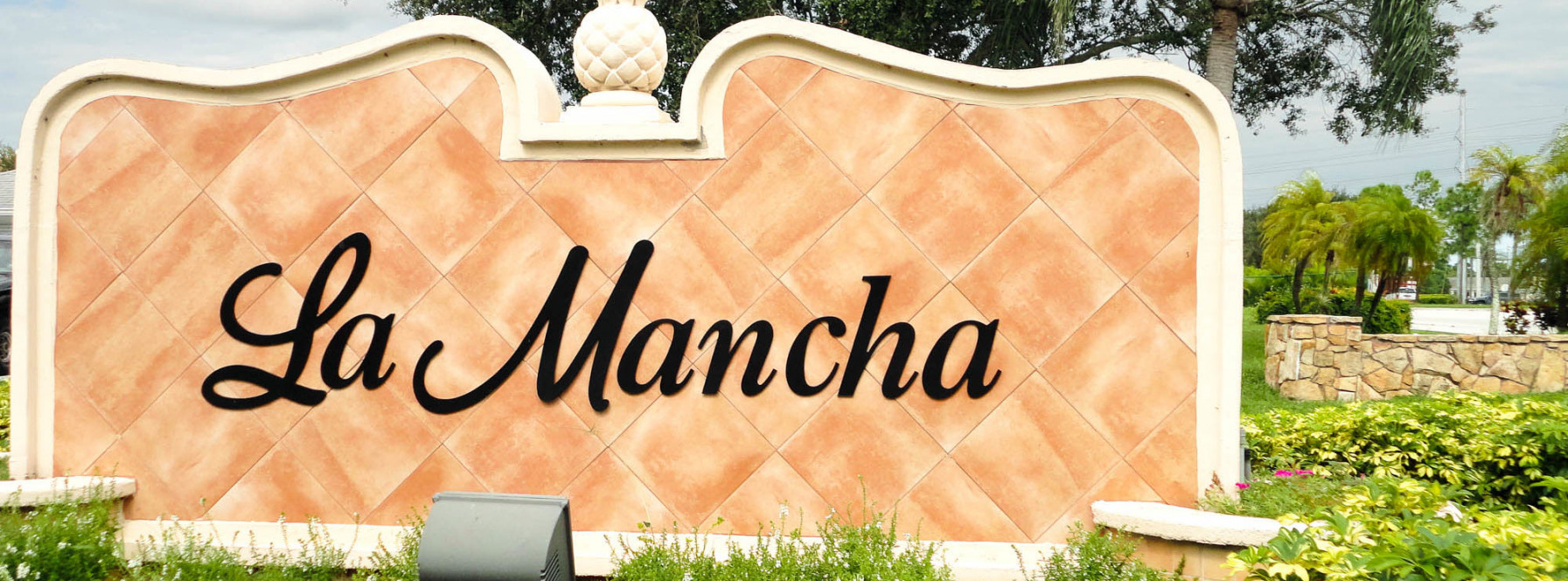 Best Real Estate Agent in La Mancha, Royal Palm Beach