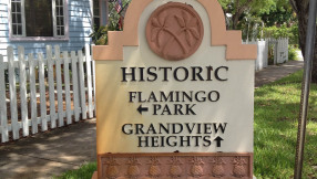 Flamingos and Misinformation
