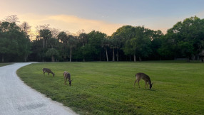 Top 10 Reasons to Live in Florida