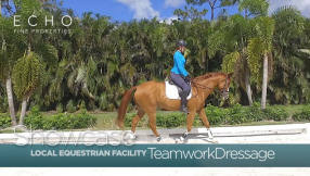 Teamwork Dressage in Jupiter Farms, Florida.