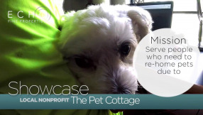 Pet Cottage A Local Non Profit Organization in Jupiter