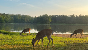 Explore Riverbend