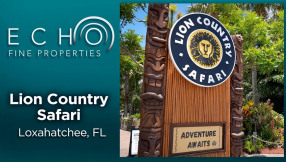 Lion Country Safari | Drive Thru Safari | Over 300 Acres Natural Area | Giraffe Feeding