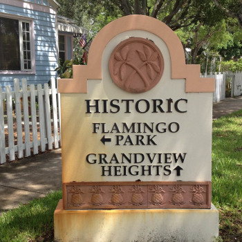 Flamingos and Misinformation