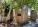 803 3rd St Photo