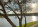 2767 S Carambola Cir S #201 Photo