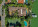 5369 Pine Tree Dr Photo