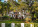 2616 Granada Blvd Photo