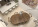 20216 NE 34th Ct #20216 Photo