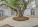 1224 Almeria Ave Photo