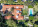 4521 Pine Tree Dr Photo