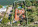 4521 Pine Tree Dr Photo