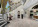 1229 Coral Way Photo
