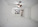6968 Crooked Fence Dr Photo
