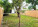 740 NW 24th Ct #740 Photo