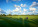 8183 Quail Meadow Trace Photo