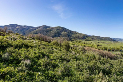 34200 Panorama Drive