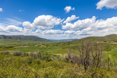 34315 Panorama Drive
