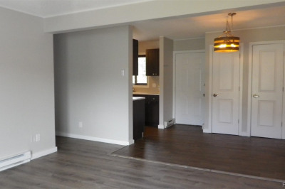 1565 Shadow Run Frontage