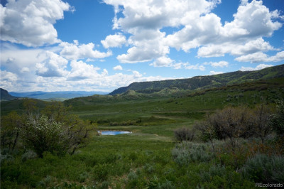 Rcr 46