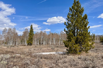 33509 Seneca Trail